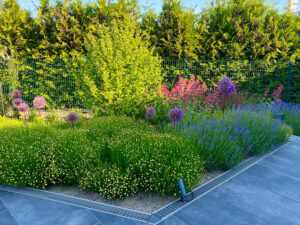 Pflanzungen in Bargeshagen