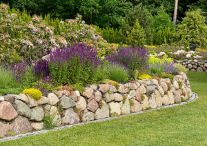 Pflanzungen in Graal-Müritz