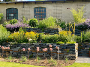 Pflanzungen in Schwerin