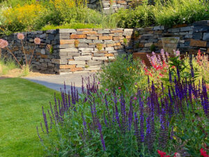 Pflanzungen in Schwerin